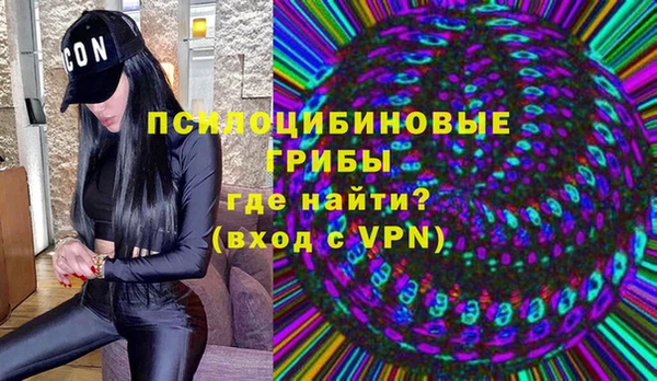 PSILOCYBIN Абинск