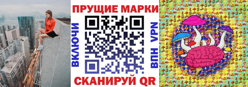 kraken вход  Петров Вал  Марки 25I-NBOMe 1,8мг 